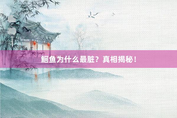 鮰鱼为什么最脏？真相揭秘！