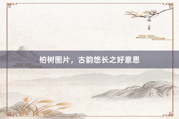 柏树图片，古韵悠长之好意思